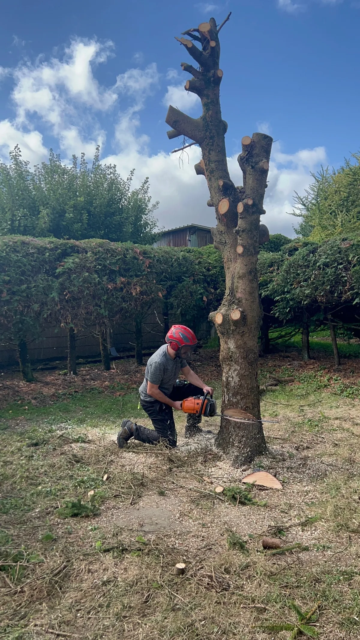 Esprit Jardin 86, paysagiste à Bonneuil-Matours — réalisation 9